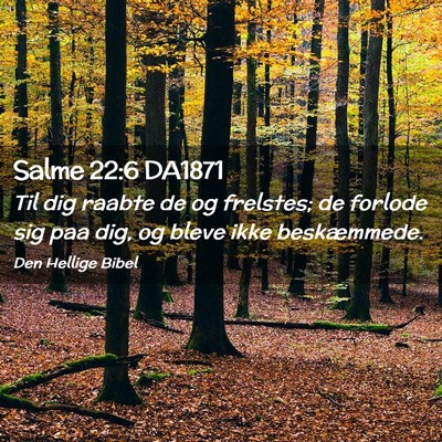 Picture 02 - Salme 22:6 DA1871 - Til dig raabte de og frelstes; de forlode sig paa - Bible Verse Picture