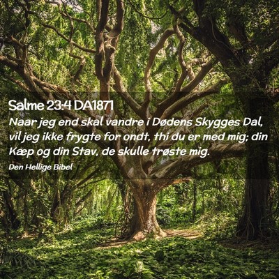 Picture 02 - Salme 23:4 DA1871 - Naar jeg end skal vandre i Dødens Skygges Dal, - Bible Verse Picture