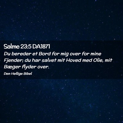 Picture 02 - Salme 23:5 DA1871 - Du bereder et Bord for mig over for mine Fjender; - Bible Verse Picture