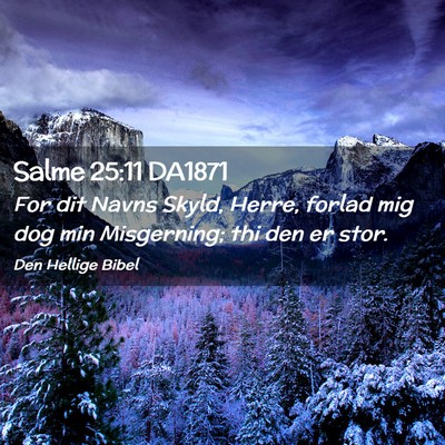 Picture 02 - Salme 25:11 DA1871 - For dit Navns Skyld, Herre, forlad mig dog min - Bible Verse Picture