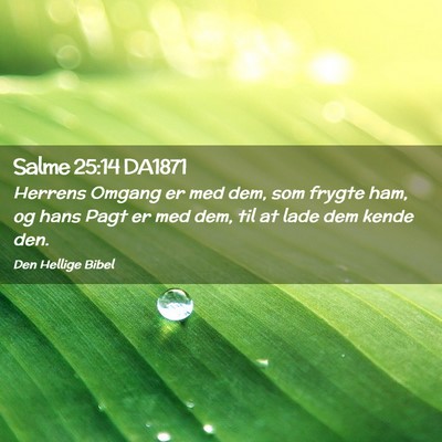 Picture 02 - Salme 25:14 DA1871 - Herrens Omgang er med dem, som frygte ham, og - Bible Verse Picture