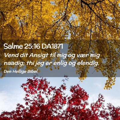 Picture 02 - Salme 25:16 DA1871 - Vend dit Ansigt til mig og vær mig naadig; thi - Bible Verse Picture