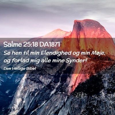 Picture 02 - Salme 25:18 DA1871 - Se hen til min Elendighed og min Møje, og forlad - Bible Verse Picture