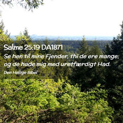 Picture 02 - Salme 25:19 DA1871 - Se hen til mine Fjender, thi de ere mange; og de - Bible Verse Picture