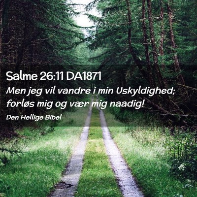 Picture 02 - Salme 26:11 DA1871 - Men jeg vil vandre i min Uskyldighed; forløs mig - Bible Verse Picture