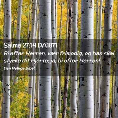 Picture 02 - Salme 27:14 DA1871 - Bi efter Herren, vær frimodig, og han skal - Bible Verse Picture