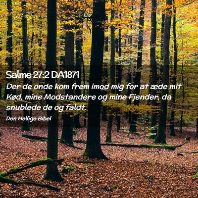 Picture 02 - Salme 27:2 DA1871 - Der de onde kom frem imod mig for at æde mit - Bible Verse Picture