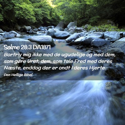Picture 02 - Salme 28:3 DA1871 - Bortriv mig ikke med de ugudelige og med dem, som - Bible Verse Picture