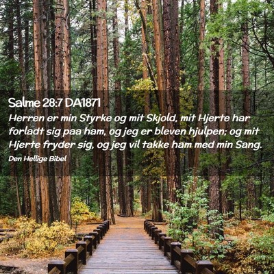 Picture 02 - Salme 28:7 DA1871 - Herren er min Styrke og mit Skjold, mit Hjerte - Bible Verse Picture