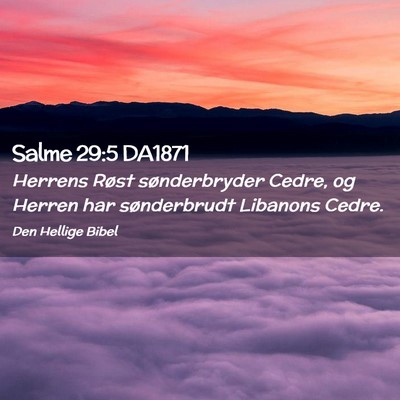 Picture 02 - Salme 29:5 DA1871 - Herrens Røst sønderbryder Cedre, og Herren har - Bible Verse Picture