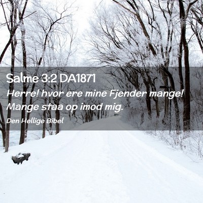 Picture 02 - Salme 3:2 DA1871 - Herre! hvor ere mine Fjender mange! Mange staa op - Bible Verse Picture