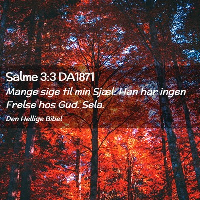 Picture 02 - Salme 3:3 DA1871 - Mange sige til min Sjæl: Han har ingen Frelse - Bible Verse Picture