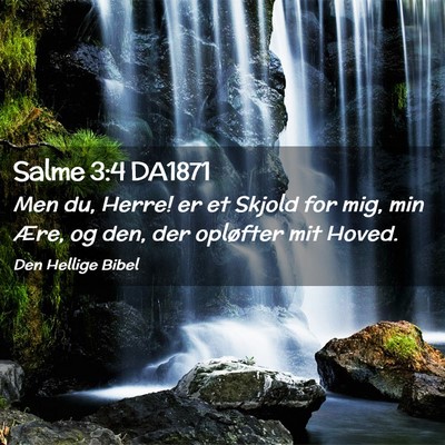 Picture 02 - Salme 3:4 DA1871 - Men du, Herre! er et Skjold for mig, min Ære, og - Bible Verse Picture