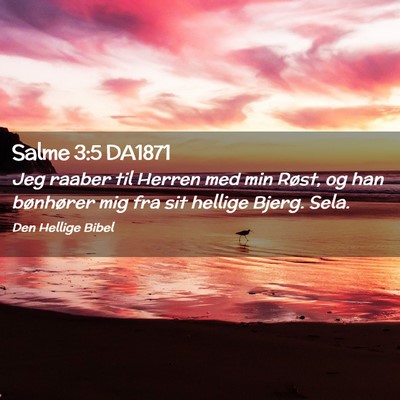Picture 02 - Salme 3:5 DA1871 - Jeg raaber til Herren med min Røst, og han - Bible Verse Picture