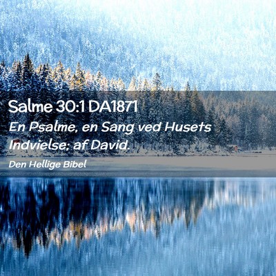 Picture 02 - Salme 30:1 DA1871 - En Psalme, en Sang ved Husets Indvielse; af - Bible Verse Picture