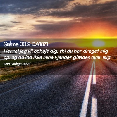 Picture 02 - Salme 30:2 DA1871 - Herre! jeg vil ophøje dig; thi du har draget mig - Bible Verse Picture
