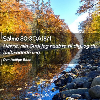 Picture 02 - Salme 30:3 DA1871 - Herre, min Gud! jeg raabte til dig, og du - Bible Verse Picture