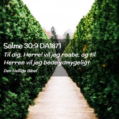 Picture 02 - Salme 30:9 DA1871 - Til dig, Herre! vil jeg raabe, og til Herren vil - Bible Verse Picture
