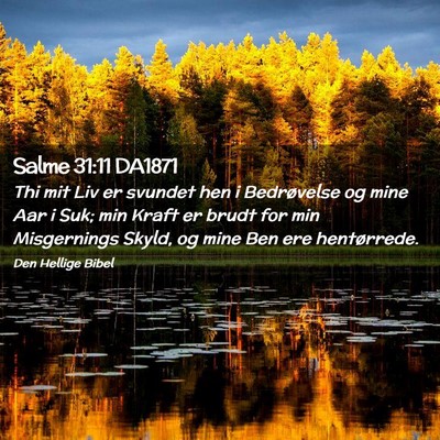 Picture 02 - Salme 31:11 DA1871 - Thi mit Liv er svundet hen i Bedrøvelse og mine - Bible Verse Picture