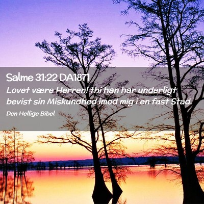 Picture 02 - Salme 31:22 DA1871 - Lovet være Herren! thi han har underligt bevist - Bible Verse Picture