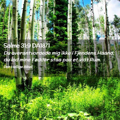 Picture 02 - Salme 31:9 DA1871 - Du overantvordede mig ikke i Fjendens Haand; du - Bible Verse Picture