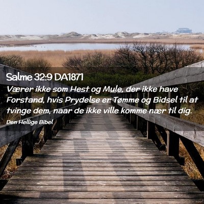 Picture 02 - Salme 32:9 DA1871 - Værer ikke som Hest og Mule, der ikke have - Bible Verse Picture