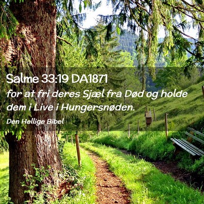 Picture 02 - Salme 33:19 DA1871 - for at fri deres Sjæl fra Død og holde dem i - Bible Verse Picture