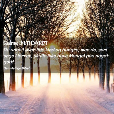 Picture 02 - Salme 34:11 DA1871 - De unge Løver lide Nød og hungre; men de, som - Bible Verse Picture
