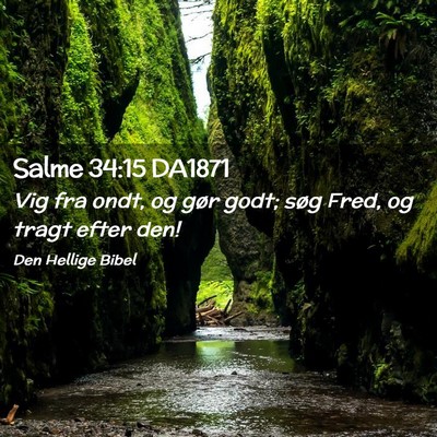 Picture 02 - Salme 34:15 DA1871 - Vig fra ondt, og gør godt; søg Fred, og tragt - Bible Verse Picture