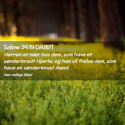 Picture 02 - Salme 34:19 DA1871 - Herren er nær hos dem, som have et sønderbrudt - Bible Verse Picture