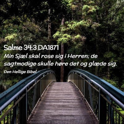 Picture 02 - Salme 34:3 DA1871 - Min Sjæl skal rose sig i Herren; de sagtmodige - Bible Verse Picture