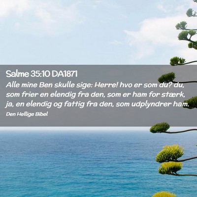 Picture 02 - Salme 35:10 DA1871 - Alle mine Ben skulle sige: Herre! hvo er som du? - Bible Verse Picture