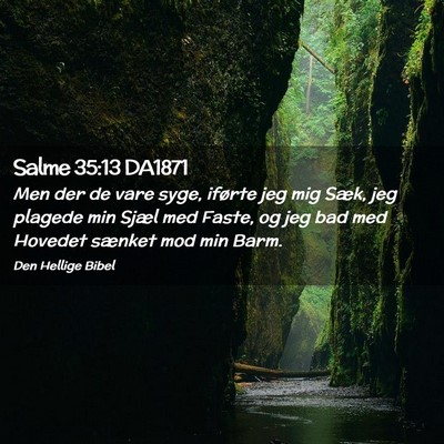 Picture 02 - Salme 35:13 DA1871 - Men der de vare syge, iførte jeg mig Sæk, jeg - Bible Verse Picture