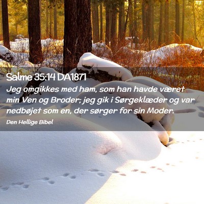 Picture 02 - Salme 35:14 DA1871 - Jeg omgikkes med ham, som han havde været min - Bible Verse Picture