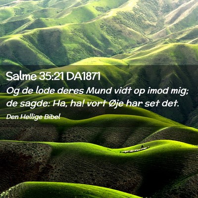 Picture 02 - Salme 35:21 DA1871 - Og de lode deres Mund vidt op imod mig; de sagde: - Bible Verse Picture