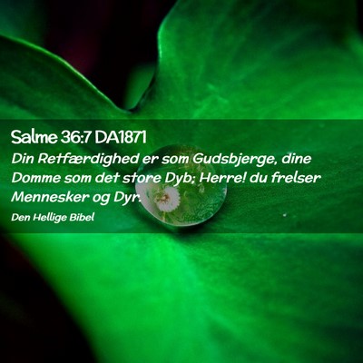 Picture 02 - Salme 36:7 DA1871 - Din Retfærdighed er som Gudsbjerge, dine Domme - Bible Verse Picture
