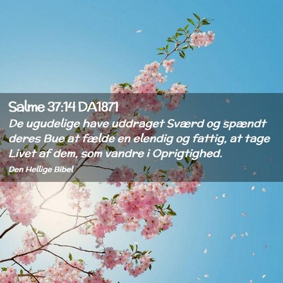 Picture 02 - Salme 37:14 DA1871 - De ugudelige have uddraget Sværd og spændt - Bible Verse Picture
