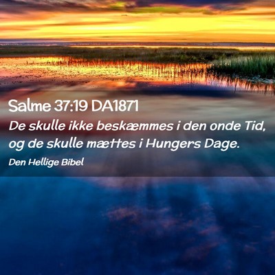 Picture 02 - Salme 37:19 DA1871 - De skulle ikke beskæmmes i den onde Tid, og de - Bible Verse Picture