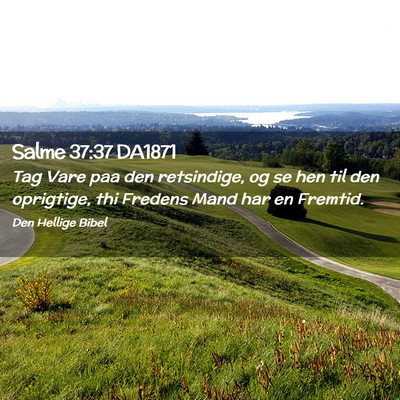 Picture 02 - Salme 37:37 DA1871 - Tag Vare paa den retsindige, og se hen til den - Bible Verse Picture
