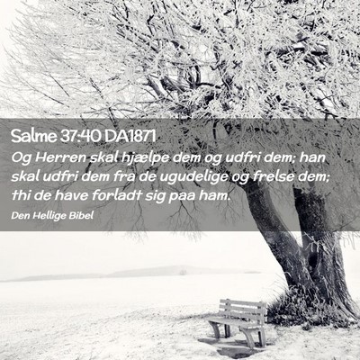 Picture 02 - Salme 37:40 DA1871 - Og Herren skal hjælpe dem og udfri dem; han skal - Bible Verse Picture