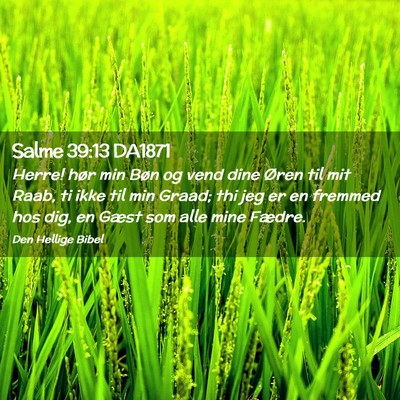 Picture 02 - Salme 39:13 DA1871 - Herre! hør min Bøn og vend dine Øren til mit - Bible Verse Picture