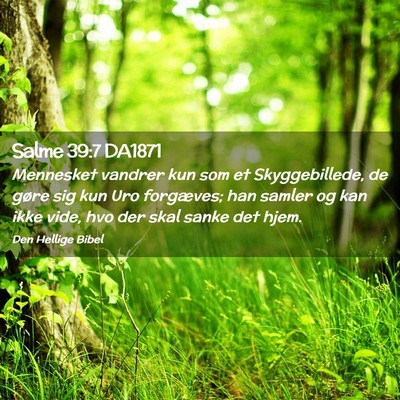 Picture 02 - Salme 39:7 DA1871 - Mennesket vandrer kun som et Skyggebillede, de - Bible Verse Picture