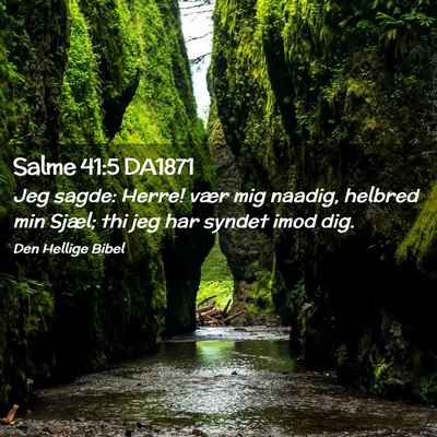 Picture 02 - Salme 41:5 DA1871 - Jeg sagde: Herre! vær mig naadig, helbred min - Bible Verse Picture