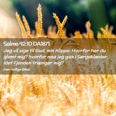 Picture 02 - Salme 42:10 DA1871 - Jeg vil sige til Gud, min Klippe: Hvorfor har du - Bible Verse Picture