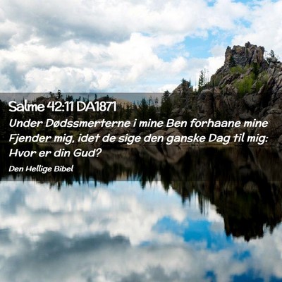 Picture 02 - Salme 42:11 DA1871 - Under Dødssmerterne i mine Ben forhaane mine - Bible Verse Picture