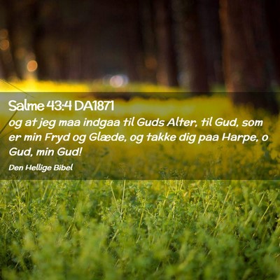 Picture 02 - Salme 43:4 DA1871 - og at jeg maa indgaa til Guds Alter, til Gud, som - Bible Verse Picture
