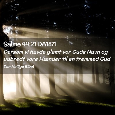 Picture 02 - Salme 44:21 DA1871 - Dersom vi havde glemt vor Guds Navn og udbredt - Bible Verse Picture