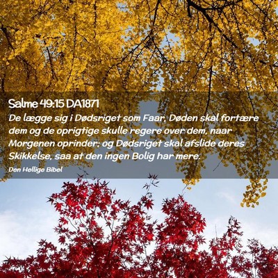 Picture 02 - Salme 49:15 DA1871 - De lægge sig i Dødsriget som Faar, Døden skal - Bible Verse Picture