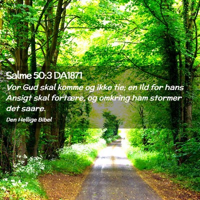 Picture 02 - Salme 50:3 DA1871 - Vor Gud skal komme og ikke tie; en Ild for hans - Bible Verse Picture