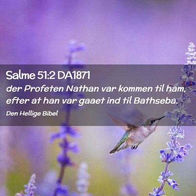 Picture 02 - Salme 51:2 DA1871 - der Profeten Nathan var kommen til ham, efter at - Bible Verse Picture